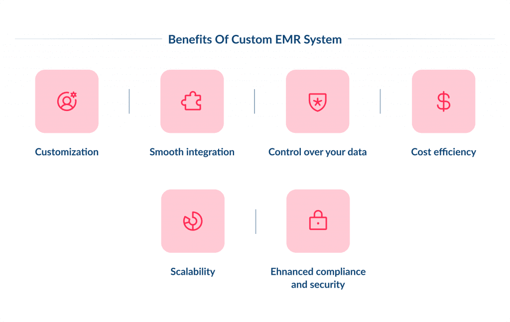 Emr Development Benefits and Challenges