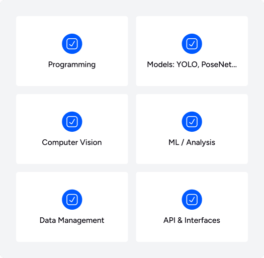 Challenges of Developing AI-Powered Computer Vision Systems