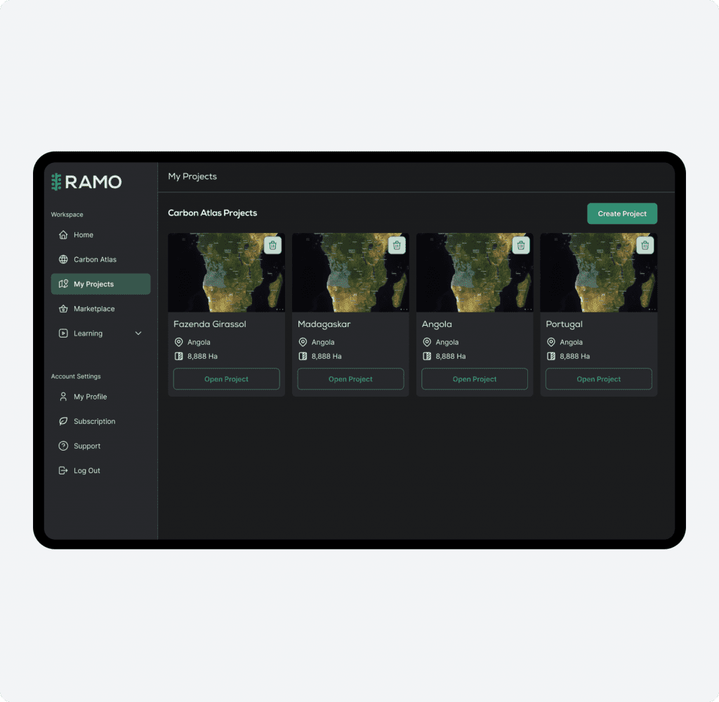 What is RAMO: Features & Mission
