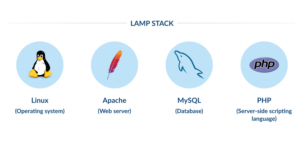 Lamp Stack Top Web Development Stacks for 2025 | Spdload Blog Spdload